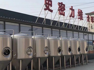 桐城精酿啤酒设备厂—如何判断精酿啤酒设备的密封件需要更换？